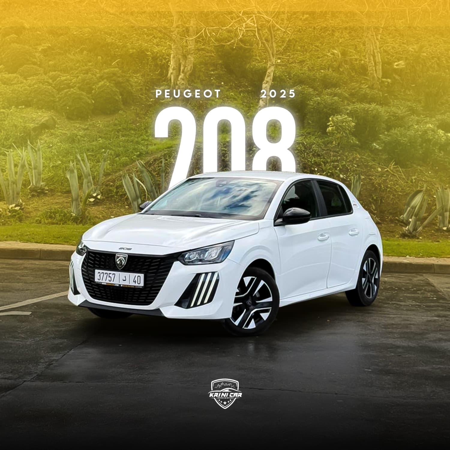 Peugeot 208 - Image 1